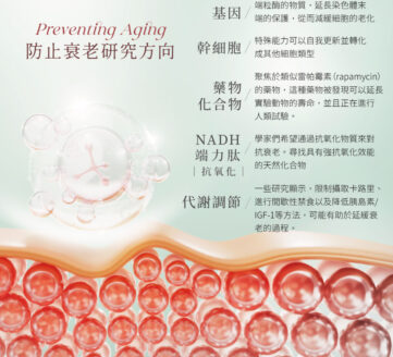 Zinc Yeast