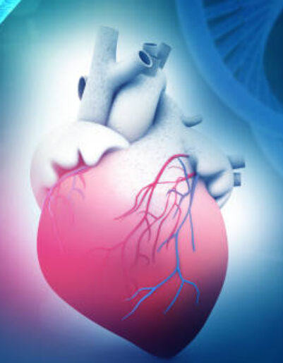 Human heart anatomy with dna abstract background. 3d illustration
